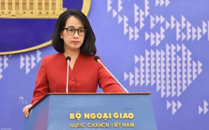 Viet Nam welcomes President Putin's proposal to resume direct talks with Ukraine