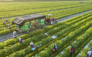 Australia to provide AUD 2 million to help Viet Nam respond to climate change