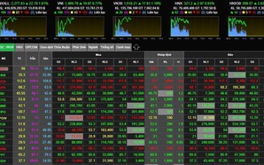 Viet Nam has over 10 million securities accounts