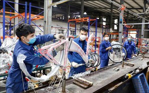 ADB: Viet Nam to remain resilient in 2025–2026 despite global uncertainties