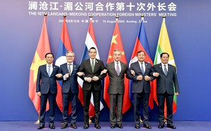 Viet Nam vows to join hands with Mekong countries to build peaceful and prosperous future