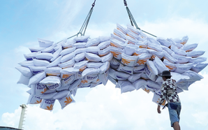 Viet Nam may export 8.8 million tons of rice in 2025