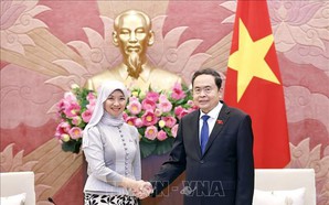 Top legislator hosts AIPA Secretary-General