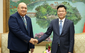 WHO commends Viet Nam’s efforts and achievements in healthcare