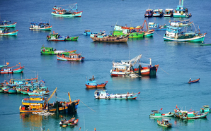 Viet Nam deposits Instrument of Ratification of WTO Agreement on Fisheries Subsidies