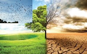 Viet Nam seeks up to US$92 billion for climate adaptation by 2030
