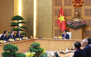 Viet Nam seeks Shandong’s experience in operating Free Trade Zones
