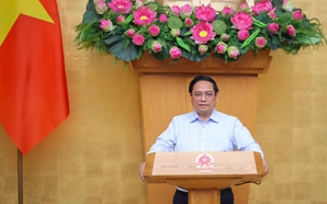 2024年8月份政府定期会议决议