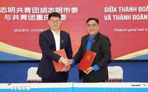 越中两国青年加强交流合作