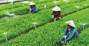 Quy chế hoạt động của Ban Chỉ đạo quốc gia về kinh tế tập thể