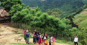 Quy định tiêu chí, phân định vùng đồng bào dân tộc thiểu số và miền núi giai đoạn 2026-2030