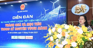Thúc đẩy sử dụng năng lượng tiết kiệm, hiệu quả trong kỷ nguyên phát triển xanh