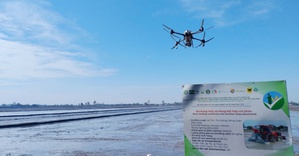 Công nghệ số mở đường cho canh tác lúa bền vững tại Đồng bằng sông Cửu Long