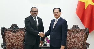Phó Thủ tướng Bùi Thanh Sơn tiếp Bộ trưởng Ngoại giao Maldives