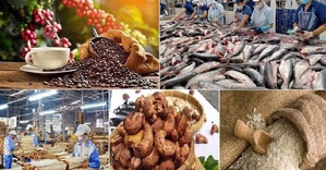 Đề xuất sửa quy định thuế GTGT lĩnh vực nông nghiệp, thức ăn chăn nuôi