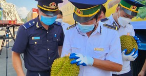 Sau 1 tuần gỡ vướng khâu kiểm nghiệm, xuất khẩu sầu riêng thông suốt trở lại