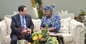 Thủ tướng Phạm Minh Chính gặp lãnh đạo các nước, các tổ chức quốc tế