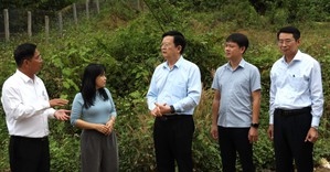 Phó Thủ tướng Mai Văn Chính kiểm tra các công trình trọng điểm của 3 chương trình MTQG tại huyện Khánh Sơn, Khánh Hòa