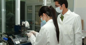 Chế độ bồi dưỡng giám định tư pháp mới áp dụng từ 20/5/2025