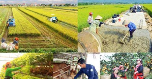 Kịp thời hướng dẫn, tháo gỡ khó khăn trong  triển khai các chương trình mục tiêu quốc gia
