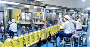 Chỉ đạo, điều hành của Chính phủ, Thủ tướng Chính phủ ngày 31/5/2025
