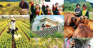 Thành lập Ban Chỉ đạo Trung ương các chương trình mục tiêu quốc gia giai đoạn 2021 - 2025