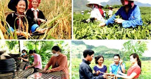 Ưu tiên phân bổ vốn mức cao nhất cho vùng khó khăn