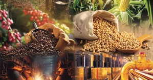 Thị trường hàng hóa nguyên liệu thế giới rung lắc mạnh