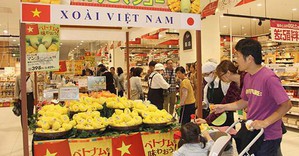 Đẩy mạnh huy động người Việt Nam ở nước ngoài giới thiệu sản phẩm, phát triển kênh phân phối hàng Việt Nam ở nước ngoài