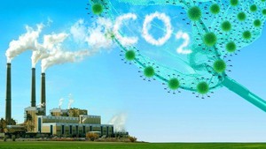 Thị trường carbon - Cơ chế tạo nguồn lực thúc đẩy phát triển xanh