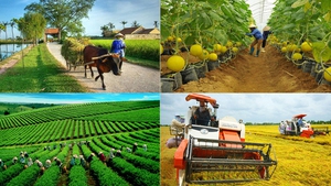 Tín dụng cho nông dân - mắt xích thúc đẩy phục hồi kinh tế nông nghiệp, nông thôn 