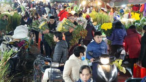 Tấp nập chợ hoa Quảng Bá rạng sáng ngày 30 Tết