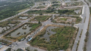 Ngăn ngừa tình trạng thông thầu, ép giá, lũng đoạn, ‘quân xanh, quân đỏ’ trong hoạt động đấu giá tài sản