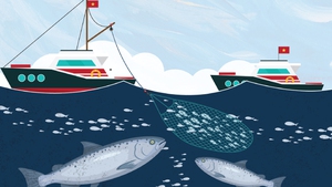 Infographic: Giải pháp chống khai thác hải sản bất hợp pháp, không báo cáo và không theo quy định (IUU)