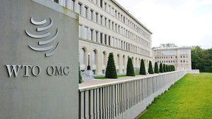 Tổng Gi&#225;m đốc WTO ấn tượng với tốc độ tăng trưởng nhanh của kinh tế số tại Việt Nam