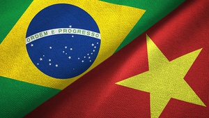 Thúc đẩy quan hệ hợp tác Việt Nam - Brazil