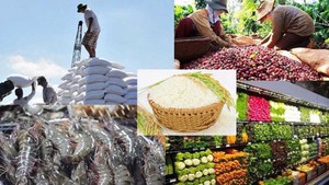 Thúc đẩy xuất khẩu nông sản của Việt Nam sang thị trường Trung Quốc