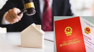 Người c&#243; quốc tịch Việt Nam định cư ở nước ngo&#224;i c&#243; quyền, nghĩa vụ sử dụng đất như c&#225; nh&#226;n trong nước 