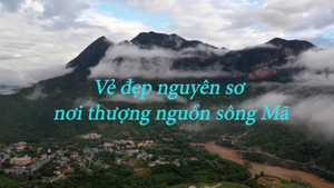 Vẻ đẹp nguy&#234;n sơ nơi thượng nguồn s&#244;ng M&#227;