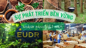 Hành động cho chính sự phát triển bền vững của các ngành hàng Việt Nam