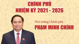 INFOGRAPHICS: Chính phủ nhiệm kỳ 2021- 2026