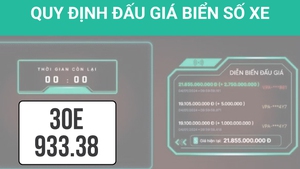 Infographics: Quy định về đấu giá biển số xe