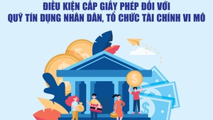 Infographics: Điều kiện cấp giấy phép đối với quỹ tín dụng nhân dân, tổ chức tài chính vi mô