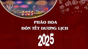 Ngắm ph&#225;o hoa Tết dương lịch 2025 tại ba th&#224;nh phố trọng điểm