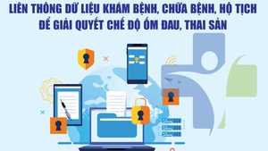 Infographics: Liên thông dữ liệu khám chữa bệnh, dân cư, hộ tịch