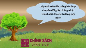 X&#226;y nh&#224; tr&#234;n đất trồng l&#250;a được chuyển đổi giấy chứng nhận th&#224;nh đất ở trong trường hợp n&#224;o? 