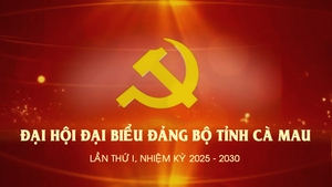 Đồng ch&#237; Nguyễn Hồ Hải giữ chức B&#237; thư Tỉnh uỷ C&#224; Mau