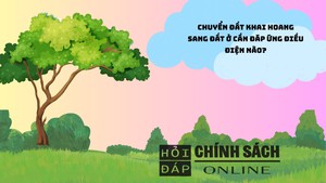 Chuyển đất khai hoang sang đất ở cần đ&#225;p ứng điều kiện n&#224;o?