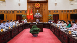 R&#224; so&#225;t, ho&#224;n th&#224;nh c&#225;c c&#244;ng việc tr&#234;n c&#225;c lĩnh vực