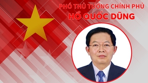 INFOGRAPHICS: Tiểu sử tân Phó Thủ tướng Chính phủ Hồ Quốc Dũng
